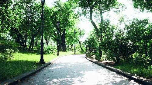 Empty Park After Park is Closed Due to Coronavirus Covid19 Pandemic Outbreak