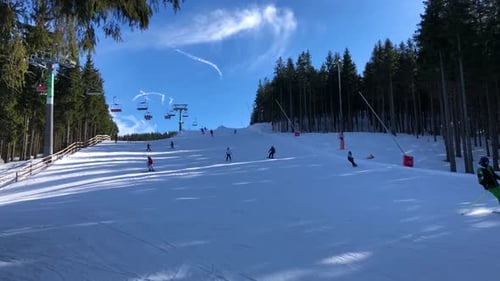 People Ski Down a Snowy Hill