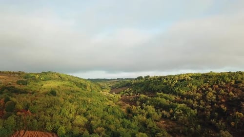 Beautiful natural view of green forests on hills and fields under the light cloudy sky.