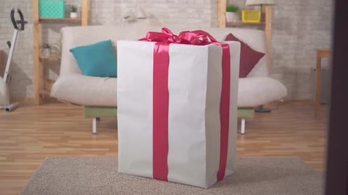 Large Wrapped Present with Pink Bow in Living Room