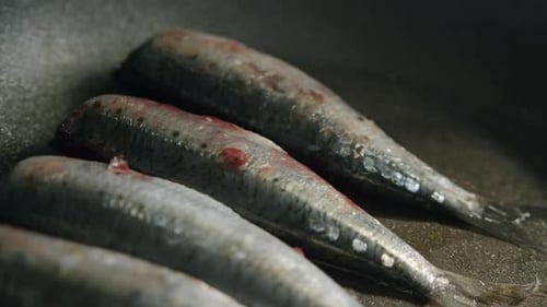 Fresh Sardines Arranged in Pan, Close-Up