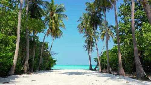 Natural overhead clean view of a sunshine white sandy paradise beach and aqua turquoise water backgr