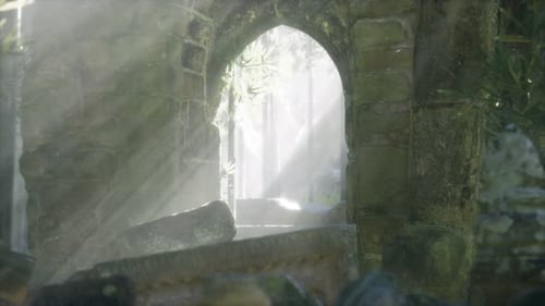 Ruins of Famous Temple in Cambodian Angkor Wat Area