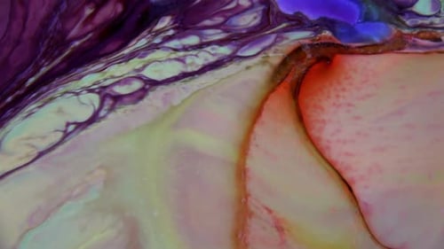 Abstract Fluid Art with Purple, White, Blue, and Orange