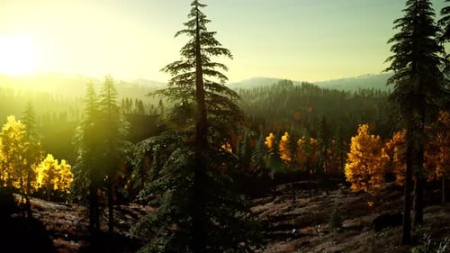 Coucher de soleil radieux dans les montagnes