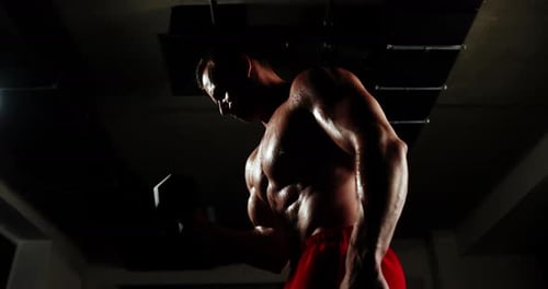 A man with a beautiful body, sexy press, in the gym, does an exercise for biceps using a dumbbell