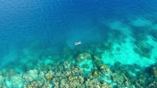 Aerial slow motion: woman snorkeling on coral reef tropical sea from above