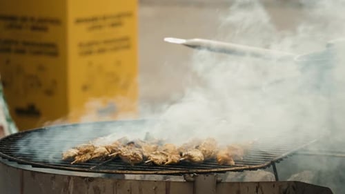 Delicious Vegetable And Meat Skewer On Grill Close Up Street Kebab
