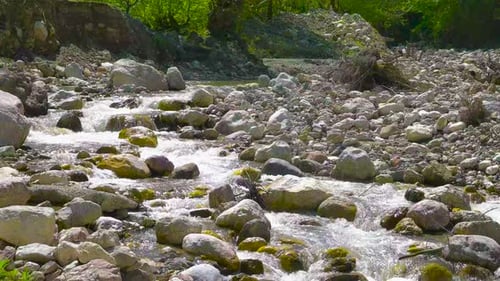 Crystal Clear River Flowing Over Rocky Riverbed
