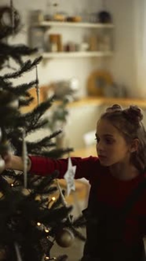 Weihnachtsfeiern, Kamin und Weihnachtsbaum, Weihnachtsvorbereitungsprozess (7)