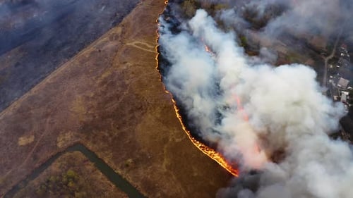 Fogo na floresta e no campo. Queimaduras de grama seca, desastre natural. Vista aérea de Wildfire on the Field