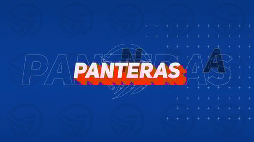 Animated Sports Elements