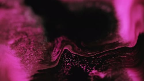Abstract Magenta and Black Ink Swirling