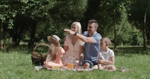 Happy Family Enjoying Picnic in Sunny Green Field