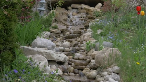Stream in a park