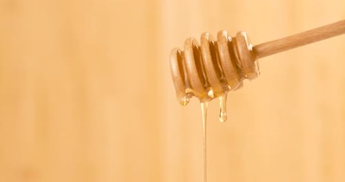 Honey Dripping From Wooden Dipper