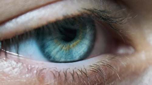 Beautiful Blue Woman Eye, Extreme Close-up. Sight. Detail View Young Girl's Eye