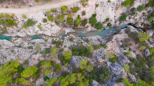 Flight Over a Mountain River and a Trail to a Gorge Among a Coniferous Forest