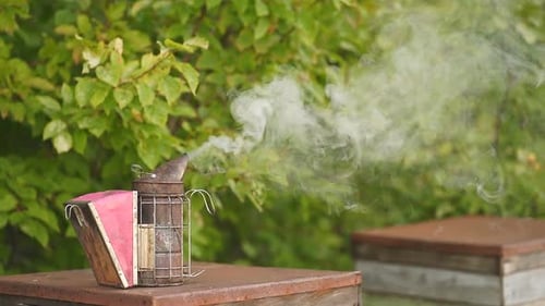Smoker Tool Stands on Honey Bee Hive.