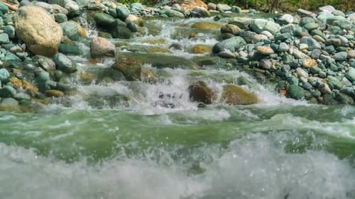 8K Clear River Flowing on Mossy Stones in Forest