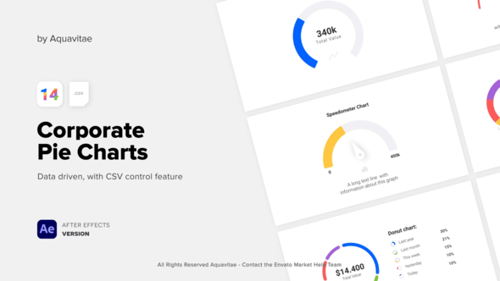 CSV Driven Corporate Pie Charts