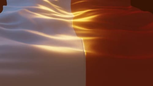 Elegant Two Color Waving Fabric Background Animation