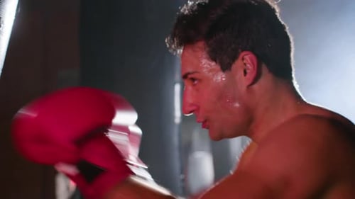 Focused Athlete Punches Boxing Bag in Gym