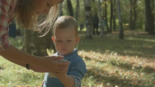 Boy Plays with Phone in Autumn Woods