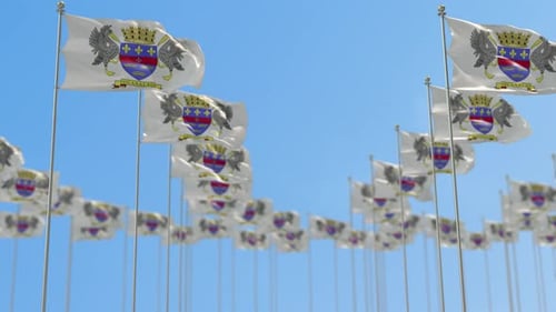 Multiple Crested Flags Waving Against Blue Sky