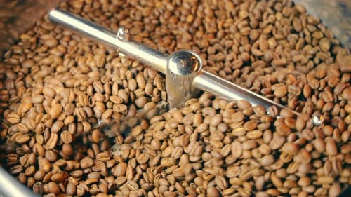 Close Up Shot of Roasted Coffee Beans