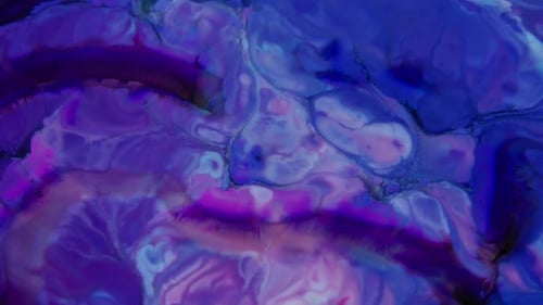 Abstract Fluid Colors in Motion