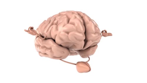 3D Animated Meditating Brain Character Loop