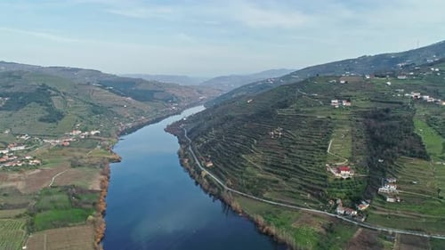 Terraced Vineyards in Douro River Valley
