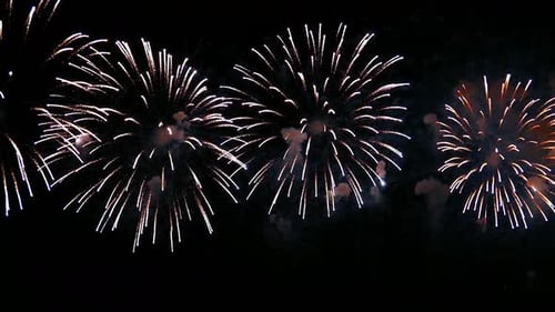 Brilliant Colorful Fireworks Bursting at Night