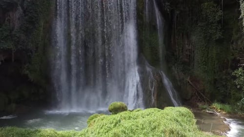 Waterfall surrounded by greenery