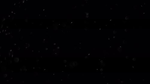 Black Abstract Background with Floating White Specks