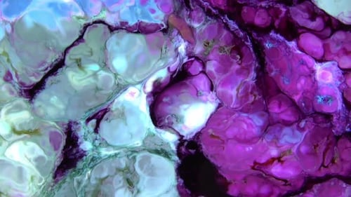 Abstract Organic Colorful Texture