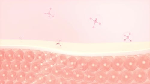 Skin cells and molecular structure