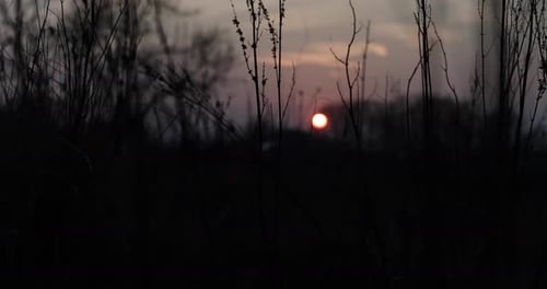 Filmmusik Zeitraffer des Sonnenuntergangs, der zur goldenen Stunde durch Gras geschossen wurde
