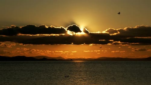 Birds Flying In Sunset And Sea