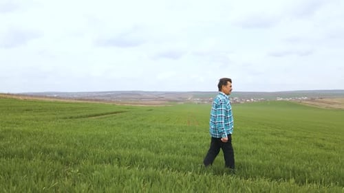 Oberbauer im jungen grünen Weizenfeld und Untersuchung der Ernte