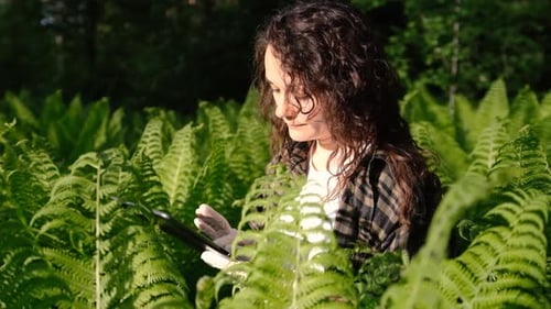 Ein Biologe untersucht die Pflanzen im Wald und schreibt die Daten auf ein Tablet