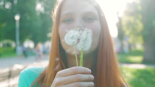 Girl Blowing Dandelion Seeds in Sunlight