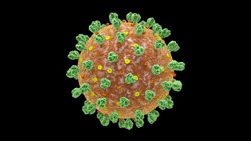 3D Medical Animation of a Rotating Virus Particle