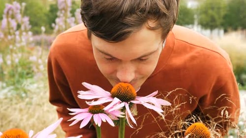 Handsome Man with Brown Hair Sniffs Beautiful Echinacea