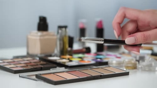Makeup Brush Applied to Eye Shadow Cosmetics Palette