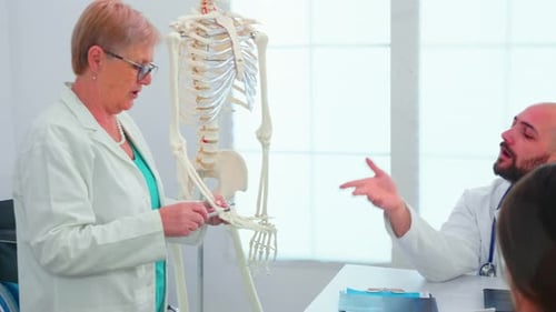 Doctors Discussing Skeleton Model in Medical Office