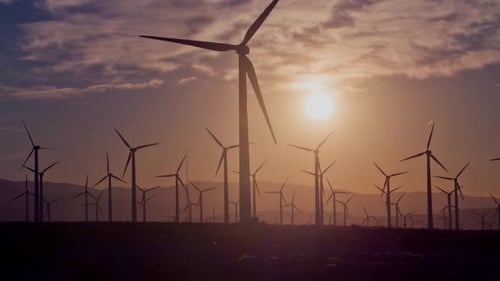 Windturbinen für die Erzeugung erneuerbarer elektrischer Energie