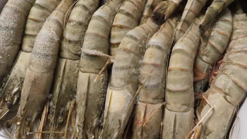 Frozen and Uncooked Shrimps Closeup in Box