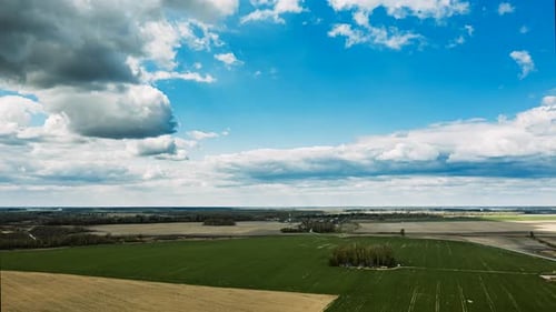 Countryside Rural Field Landscape With Young Wheat Sprouts In Spring Summer Cloudy Day